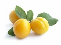 YELLOW PLUM 1 LBS YELLOW PLUM 1 LBS