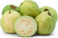 GUAVAS 1X 20LBS GUAVAS 1X 20LBS